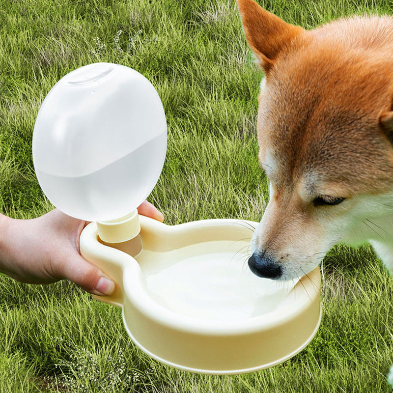 Portable 500ml Pet Water Bottle